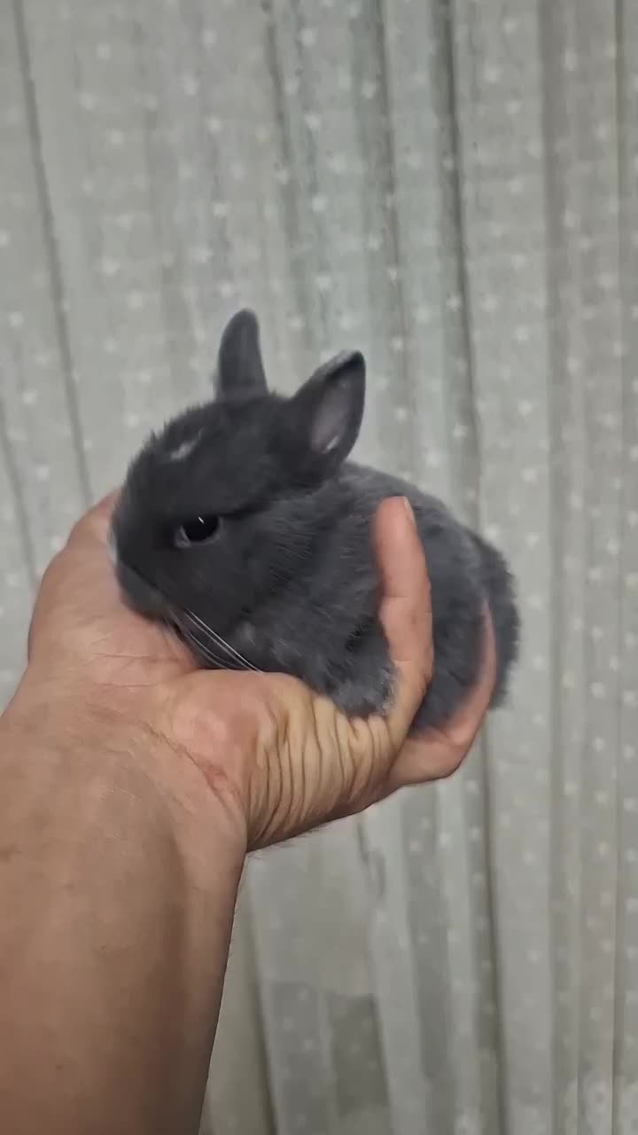 @𝐉𝐞𝐧𝐧𝐲 𝐁𝐮𝐧𝐧𝐲🐰