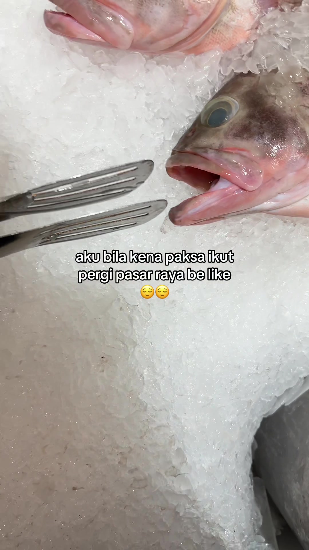 @𝖉𝖎𝖊𝖋f