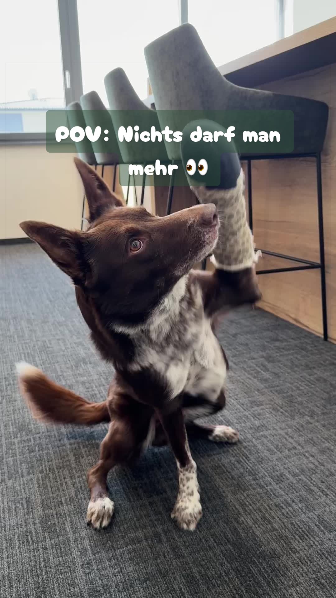 @GranataPet