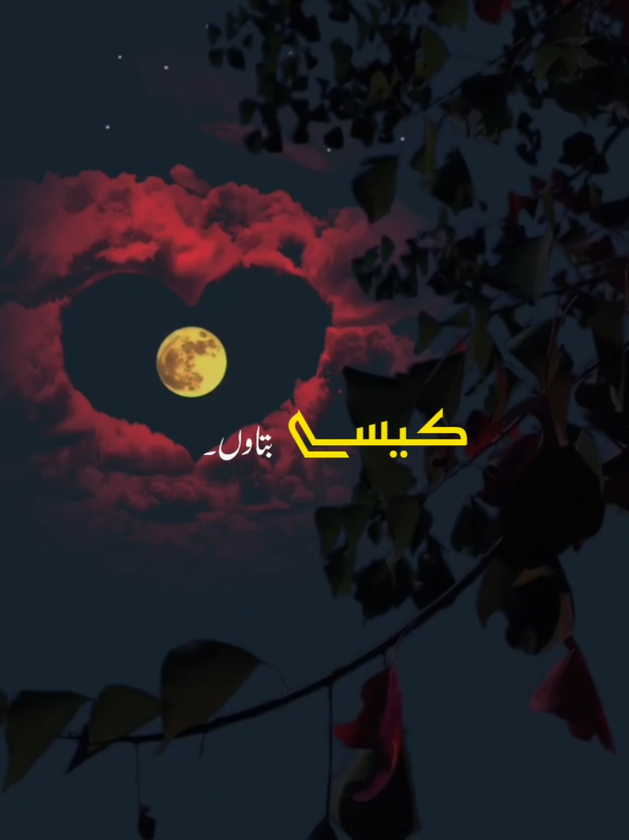 @🌸🇾 🇴 🇺 🇷 ᴋᴀɪɴᴀᴛ 🌸