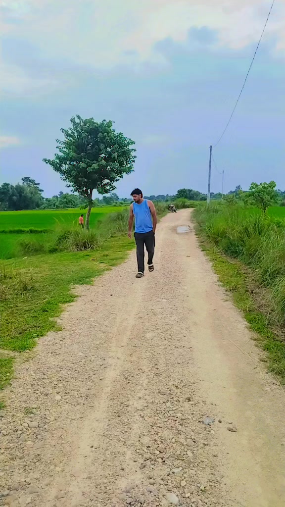 @alone_royal01