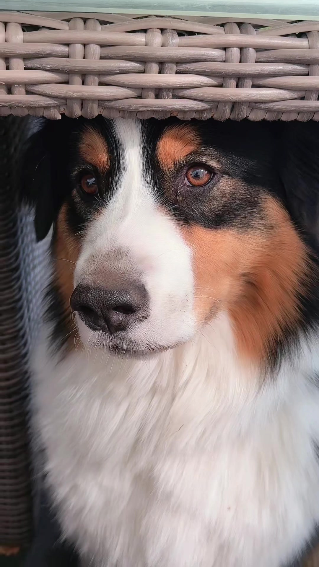 @Rico💕❤️-Vito🥰❤