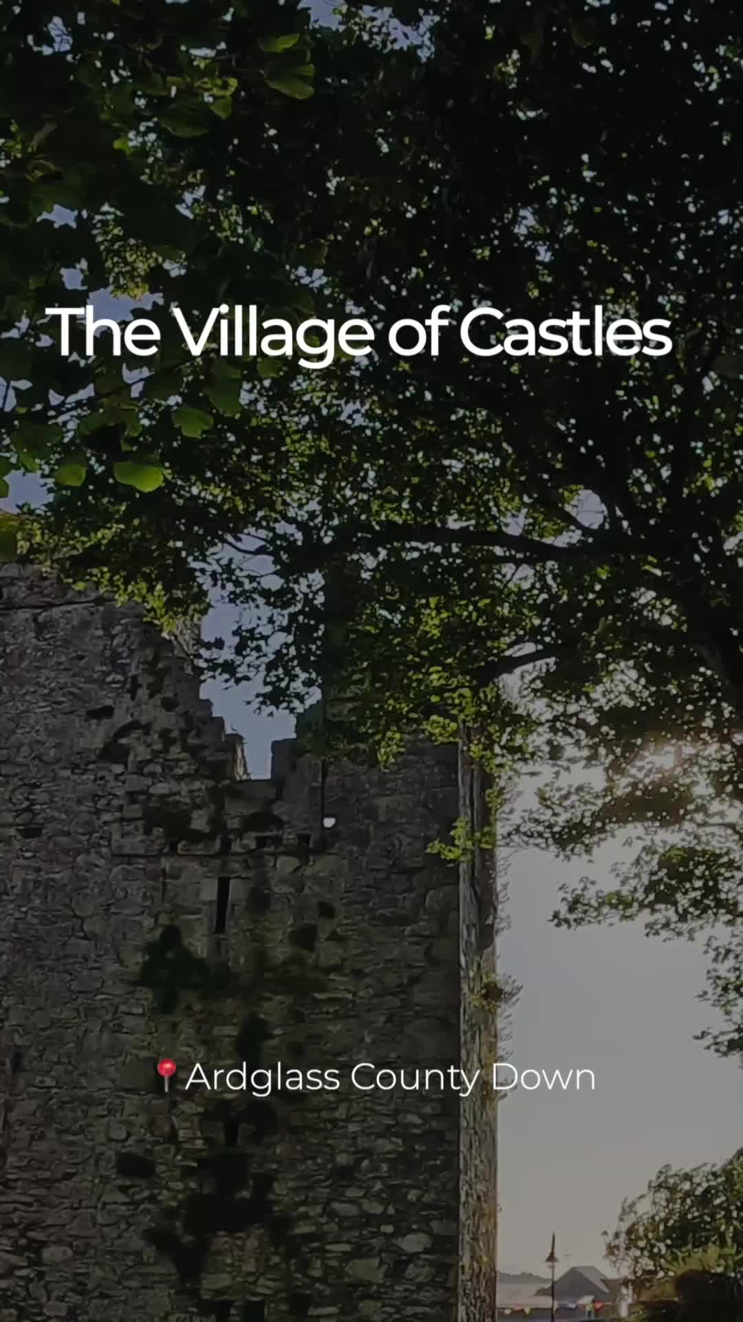 @Margaret - Avante Video