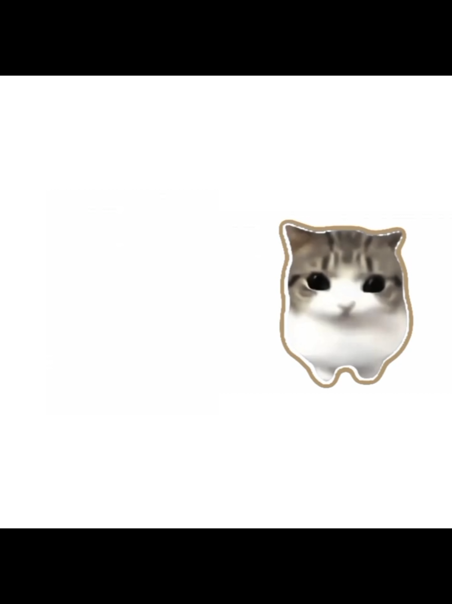 @khun ๐ฑ ๐ฉ ๐