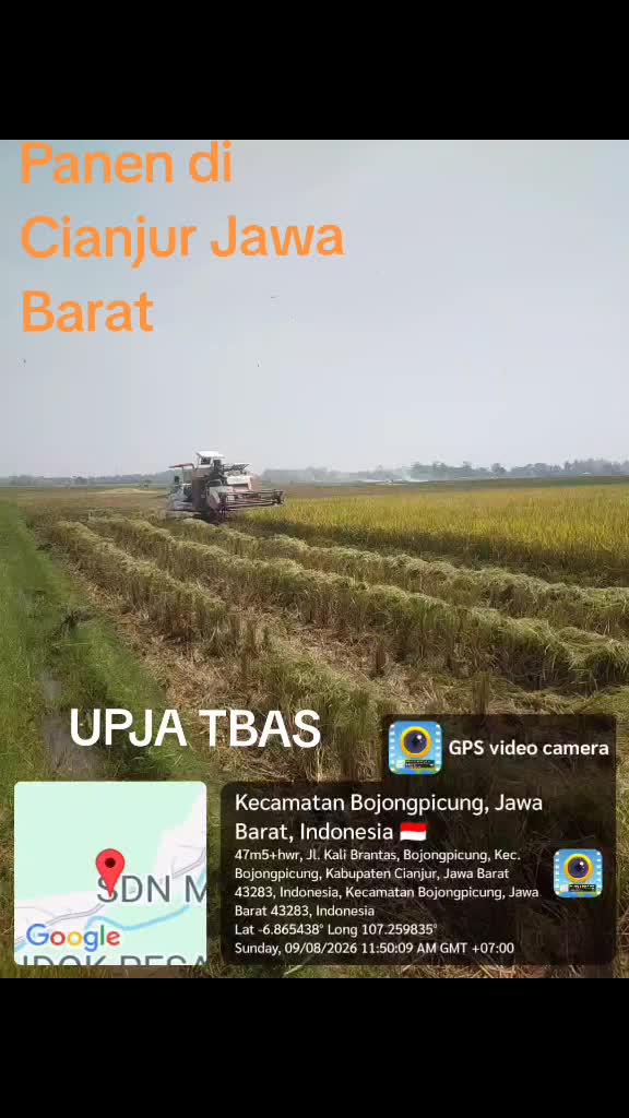 @Upja Tbas