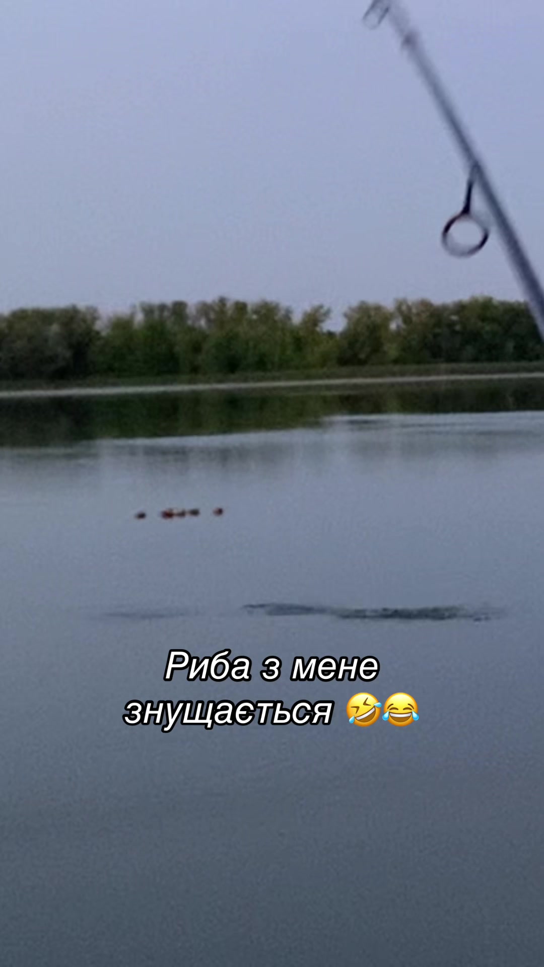 @High Fishing