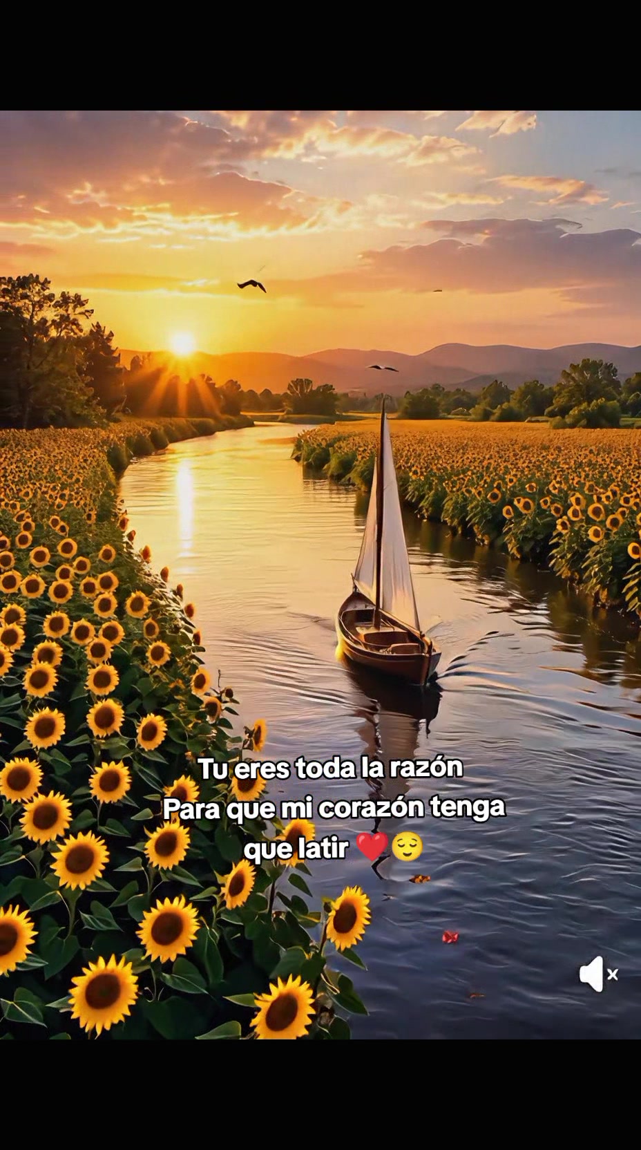 @꧁ღ💛🌻Mi bello Girasol🌻💛ღ꧂