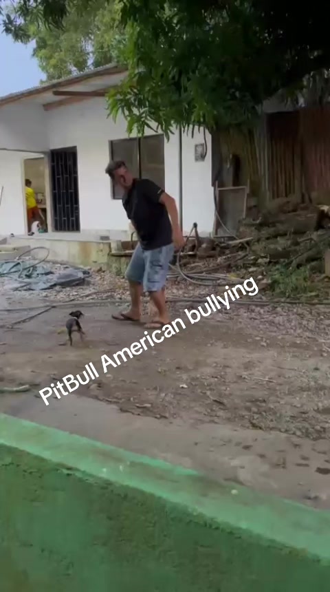 @brasil  drones