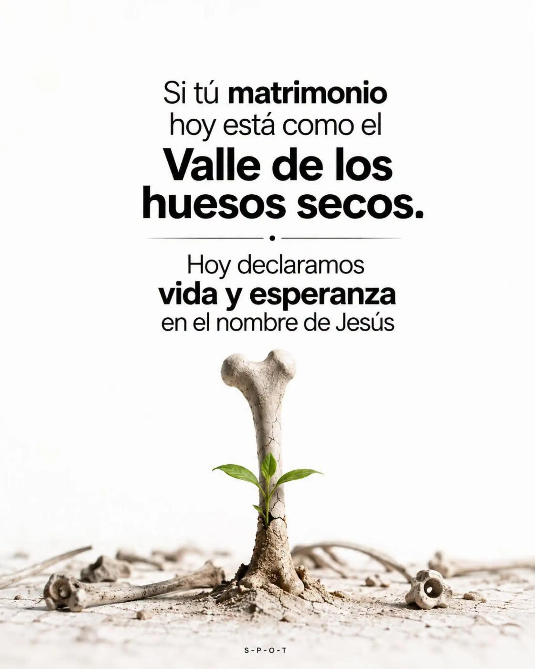 @Antonia Hern&aacute;ndez 🫅🇬🇹🇬🇹