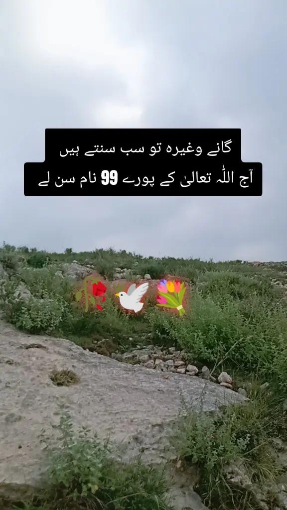 @✨Zahir_khan✨
