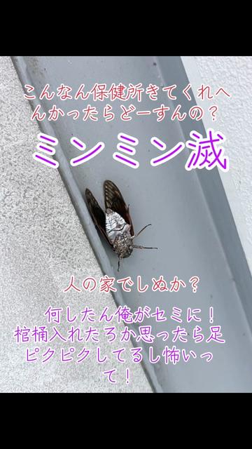 @i.s.4.4.4