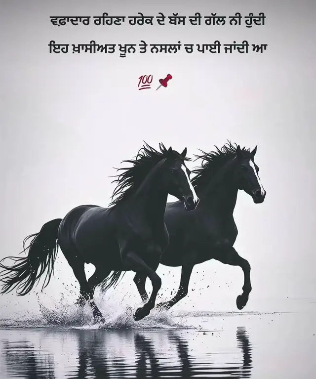 @SUKH
