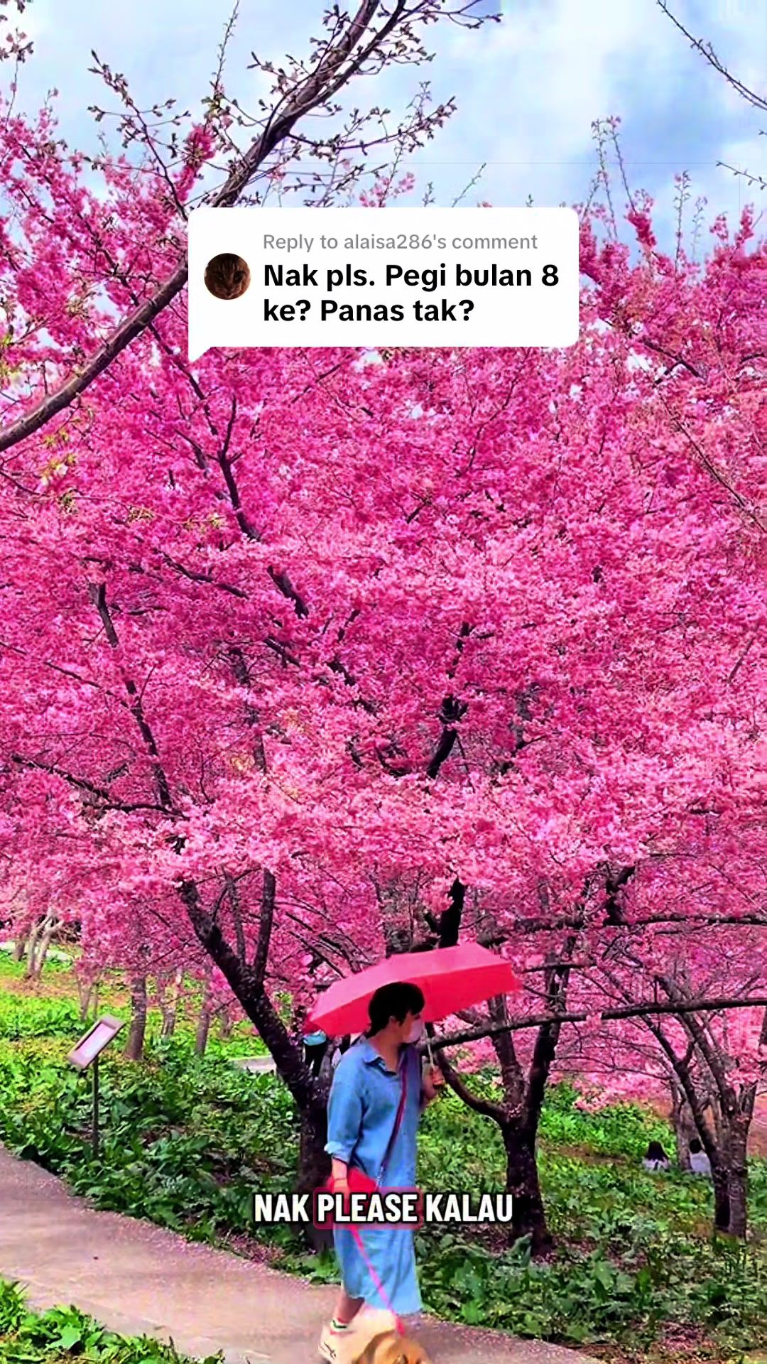 @qimanna