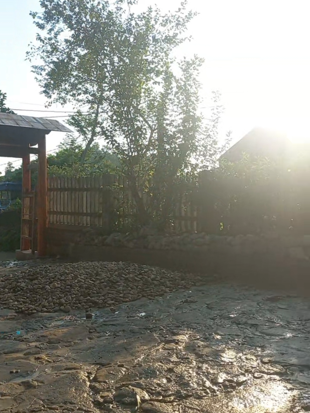 @Đông y VŨ VĂN DÂN