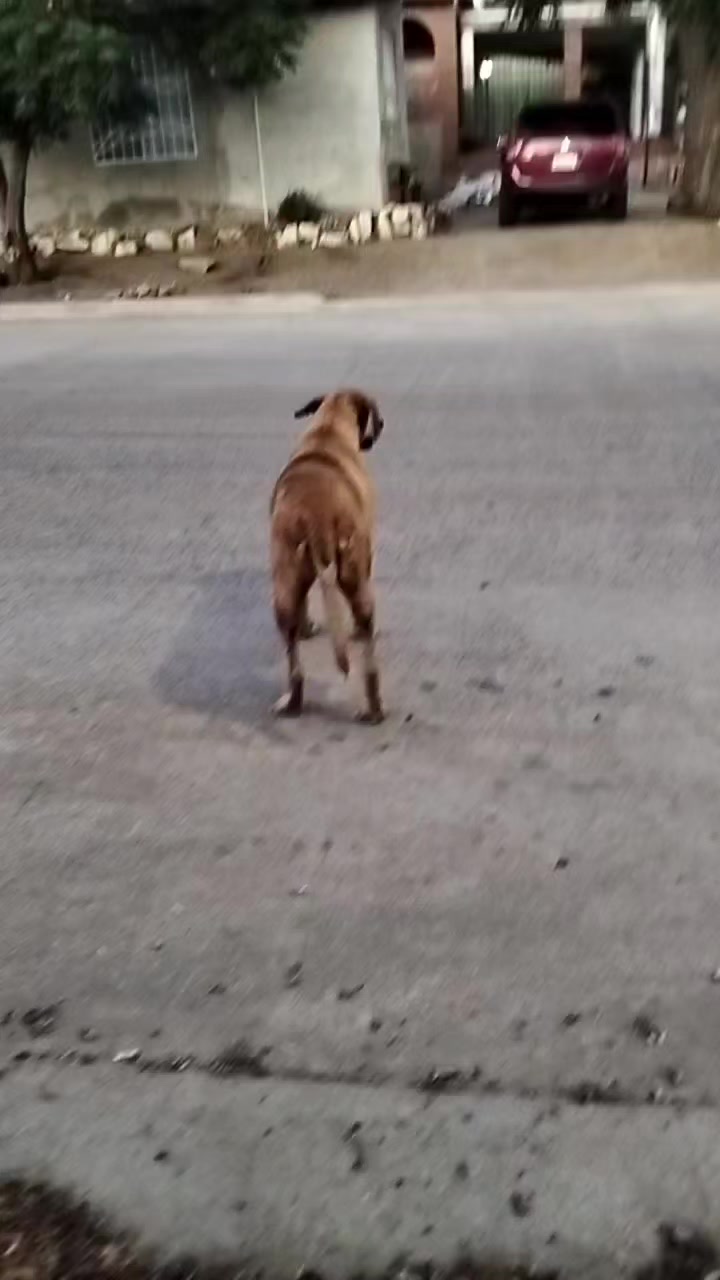 @#NoSoyRunner