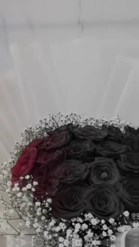 @𝕋ℝ𝔼𝔸𝕊𝕌ℝ𝔼𝕊