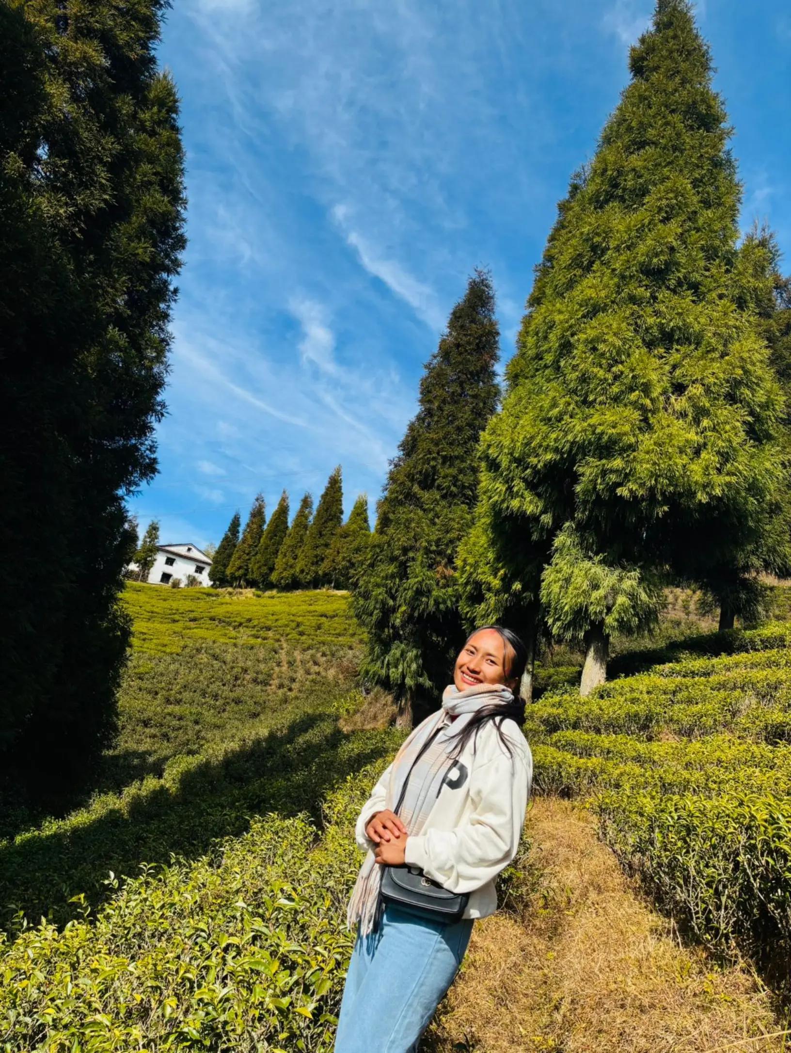 @Samikshya Shrestha