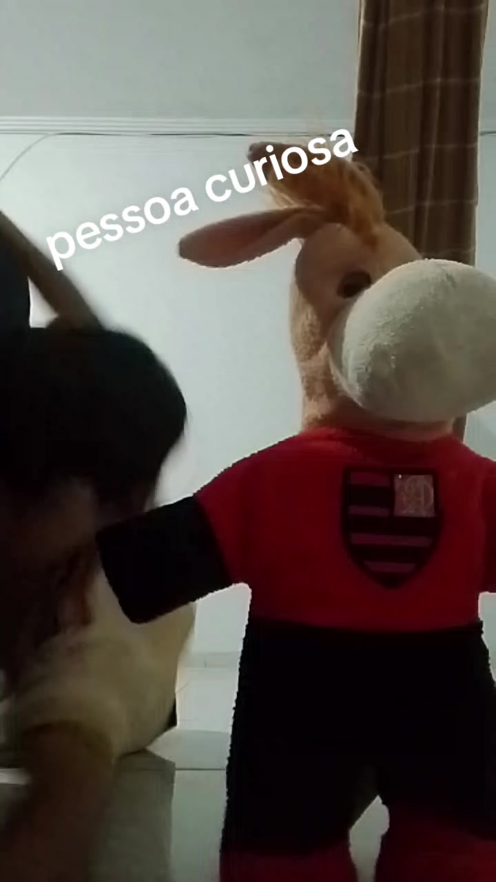 @Micael coelho Souza