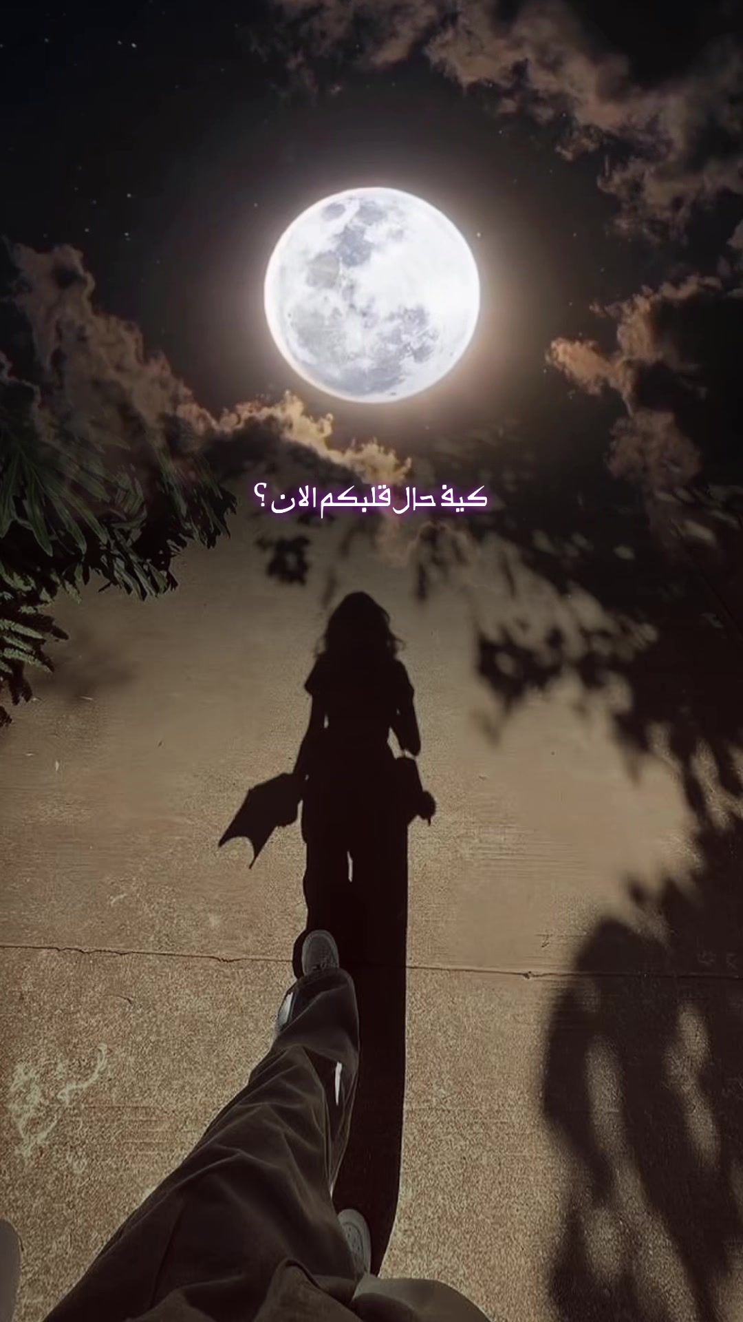@﮼قول،﮼هاي ᥫ᭡