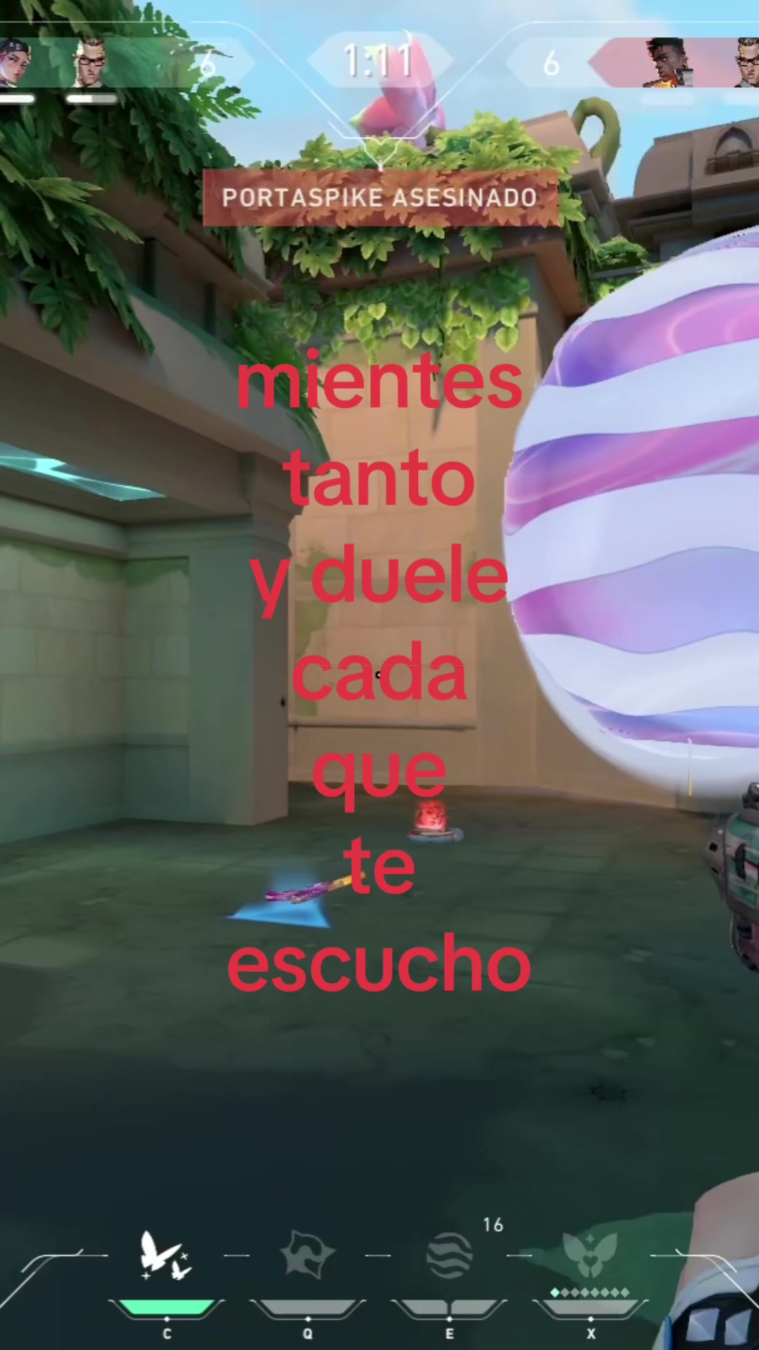 @Alecha