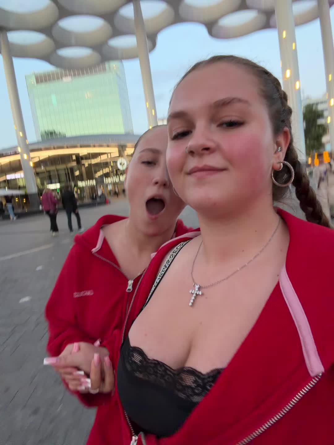 @hamsters