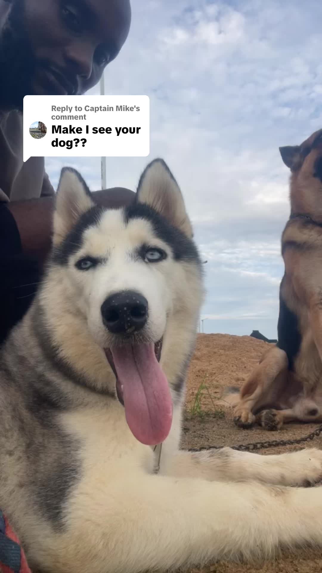 @Mothersheila_DogTv