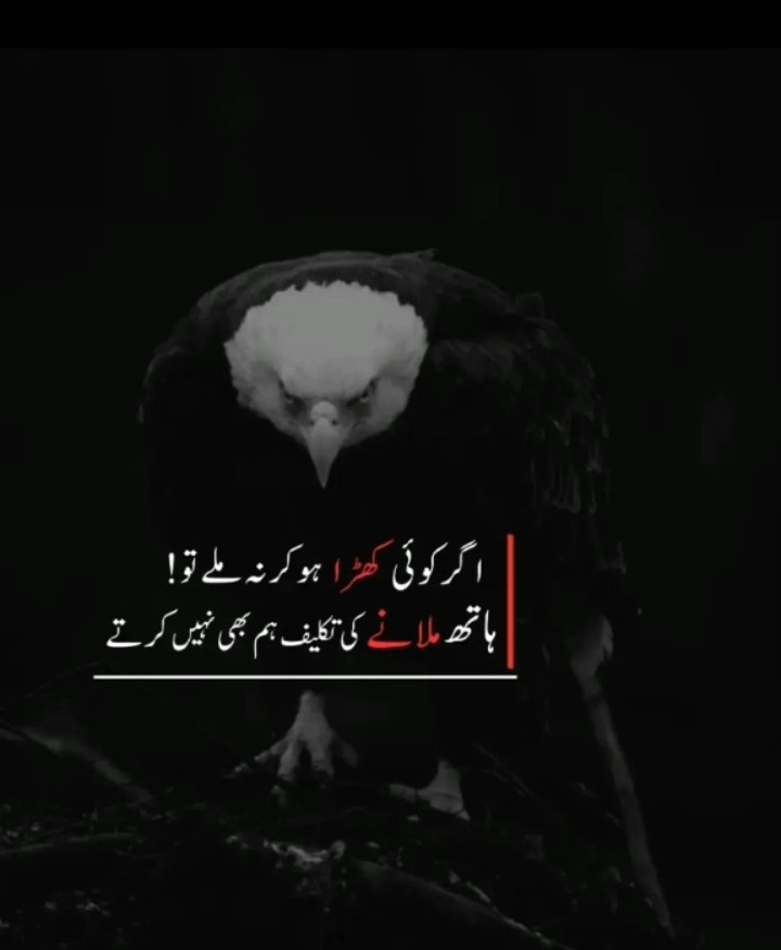 @🦅 𝗦𝗜𝗚𝗠𝗔 𝗠𝗔𝗟𝗘 🦅