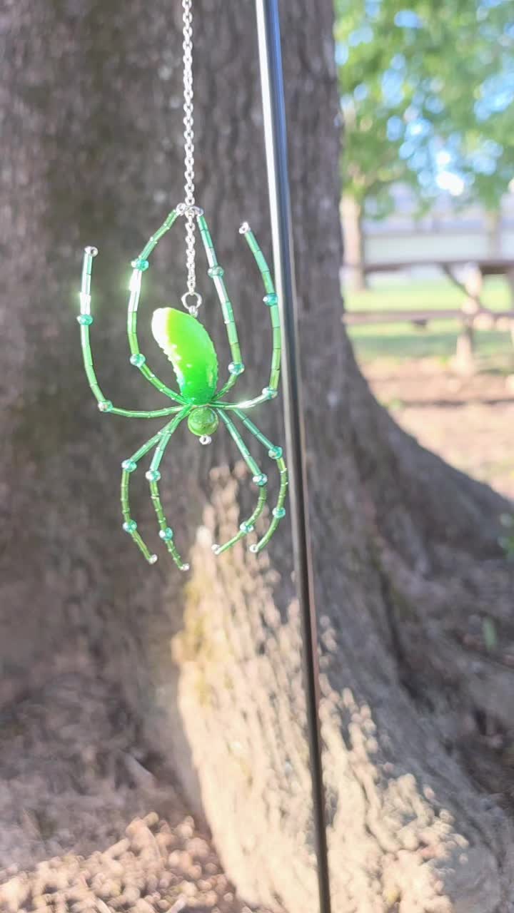 @The Spider Web