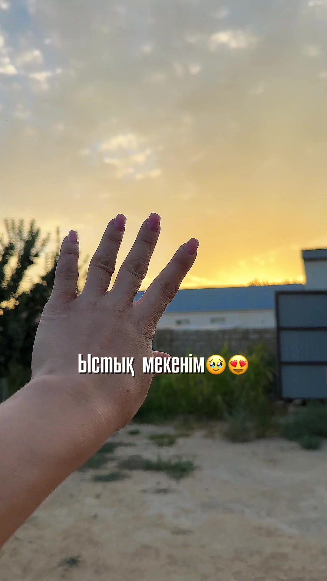 @🎥 Anipa | Mobile Creator✨