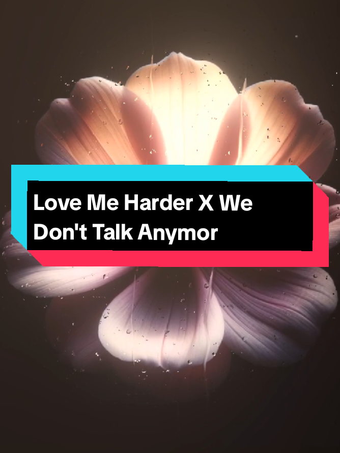 @𝟑𝟎𝟑 𝐕𝐞𝐫𝐬☆