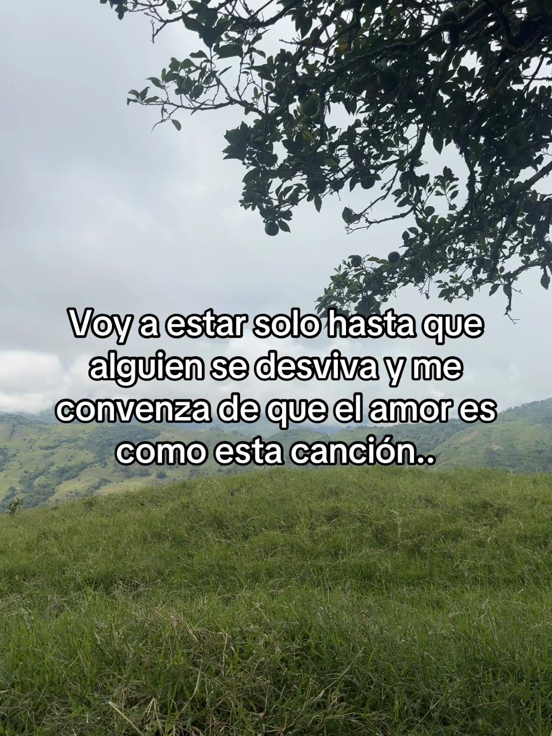 @Miguel Arango