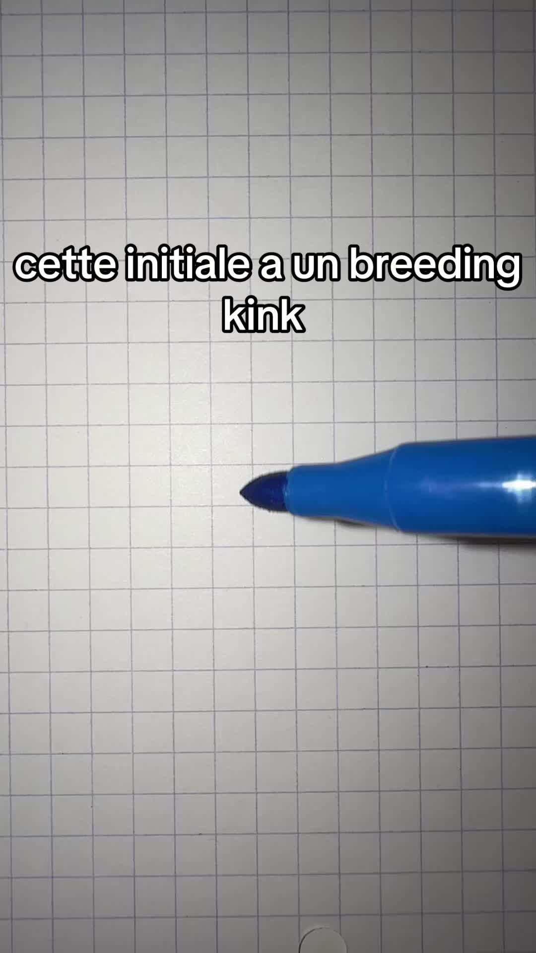 @🪽
