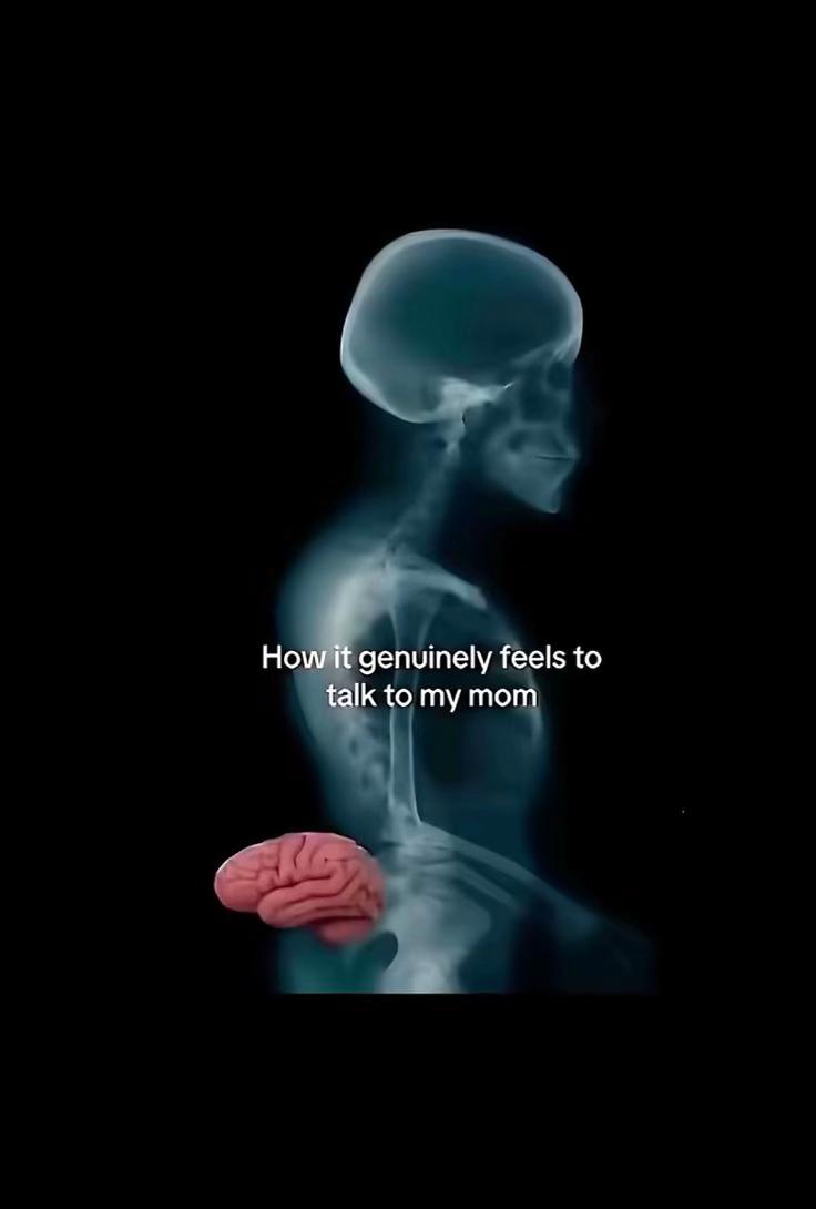 @🤍