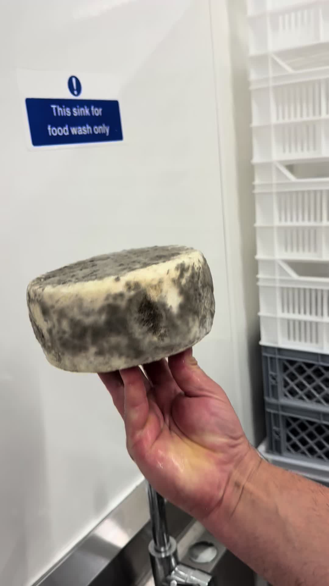 @Yorkshire pecorino