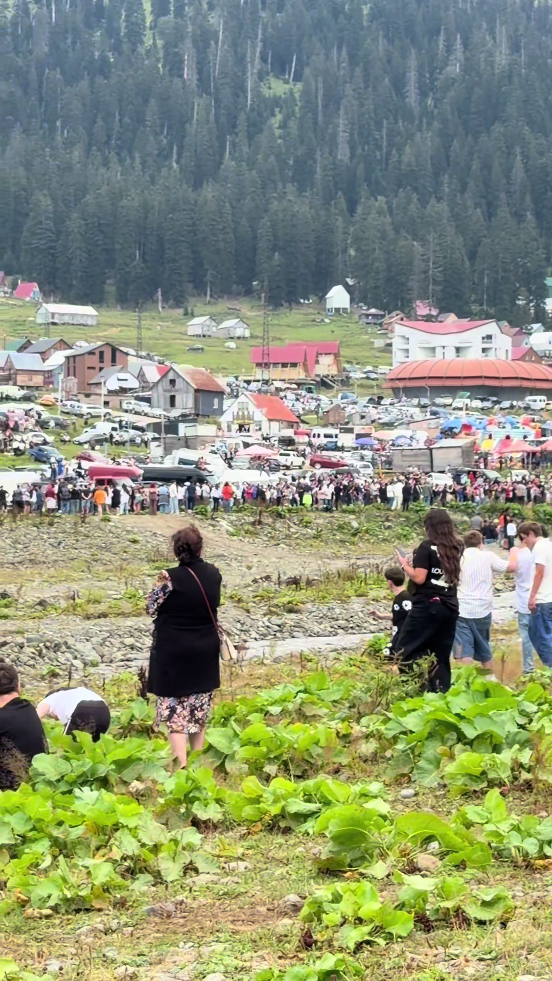 @koba kikacheihvili