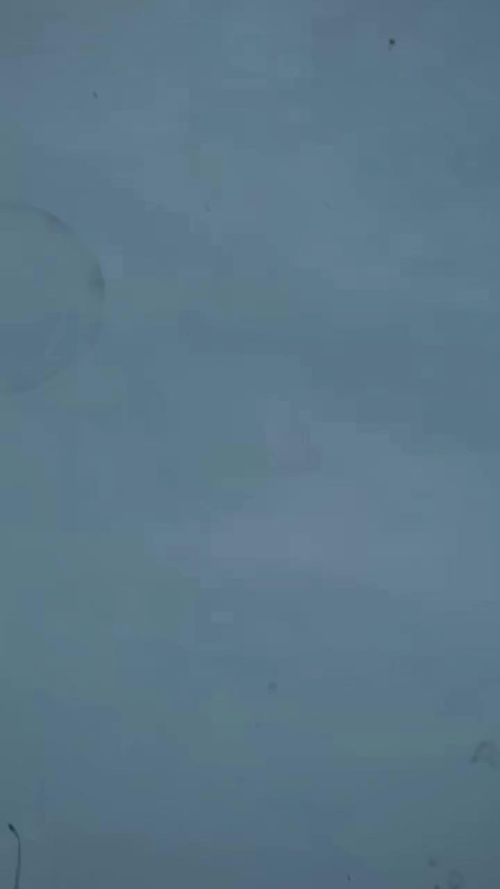 @🇻🇳ᴀ፝֟ᴋ᭄ɮůľ𝗹𝖊𝐭࿐ᴬᵏ₄₇🥊🇻🇳
