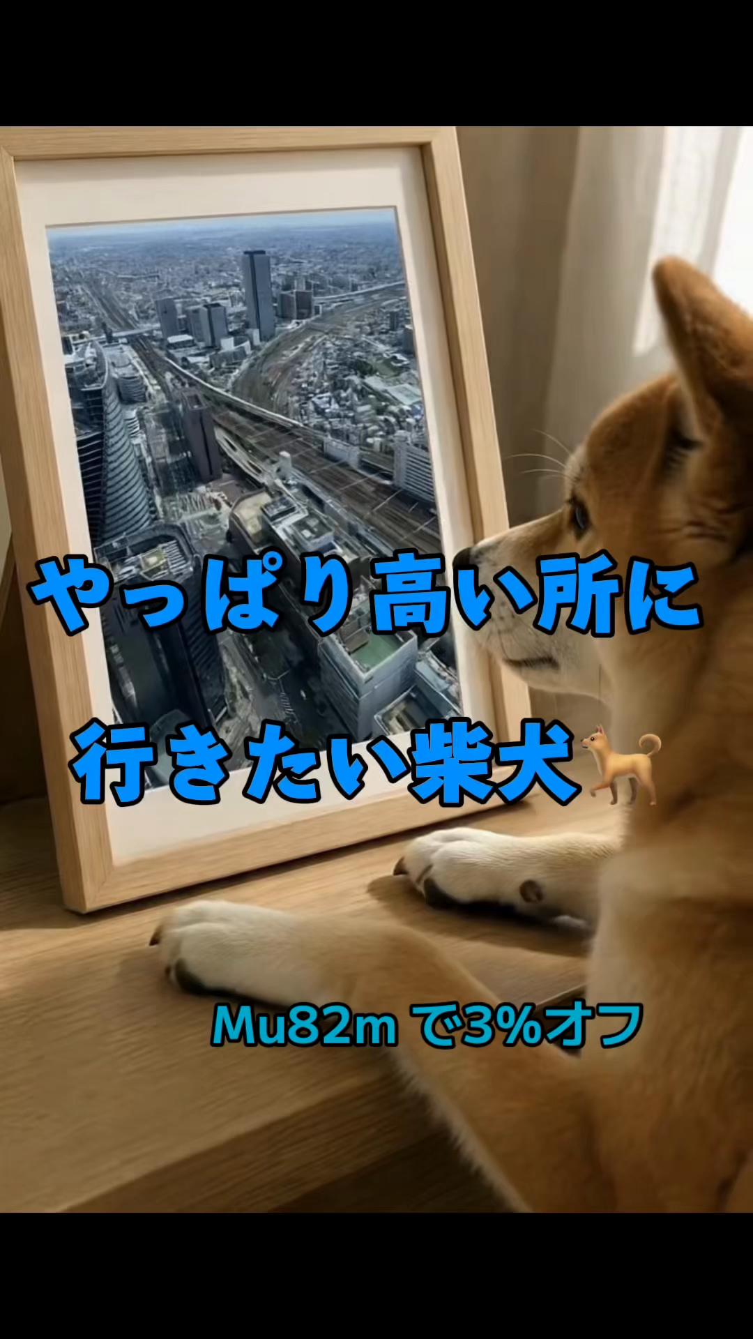 @ron_shiba