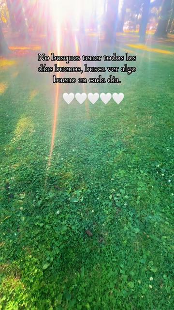 @LiLa💜🐐🌻🐻💚🦔🎥💎