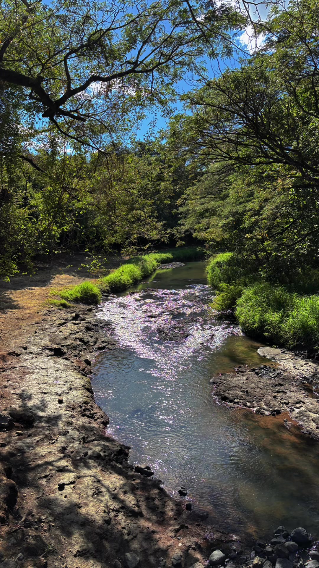 @DiegoJ-Naturaleza