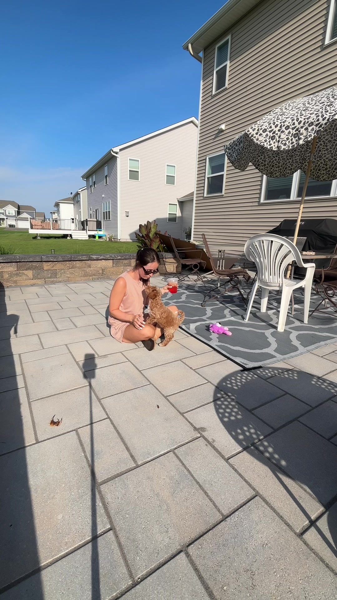 @backyardshenanigans
