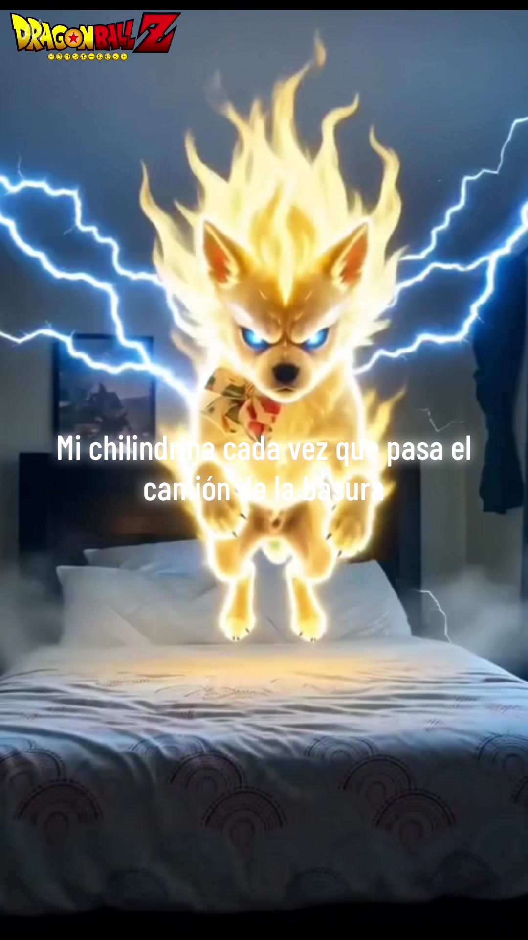 @Frida Miranda