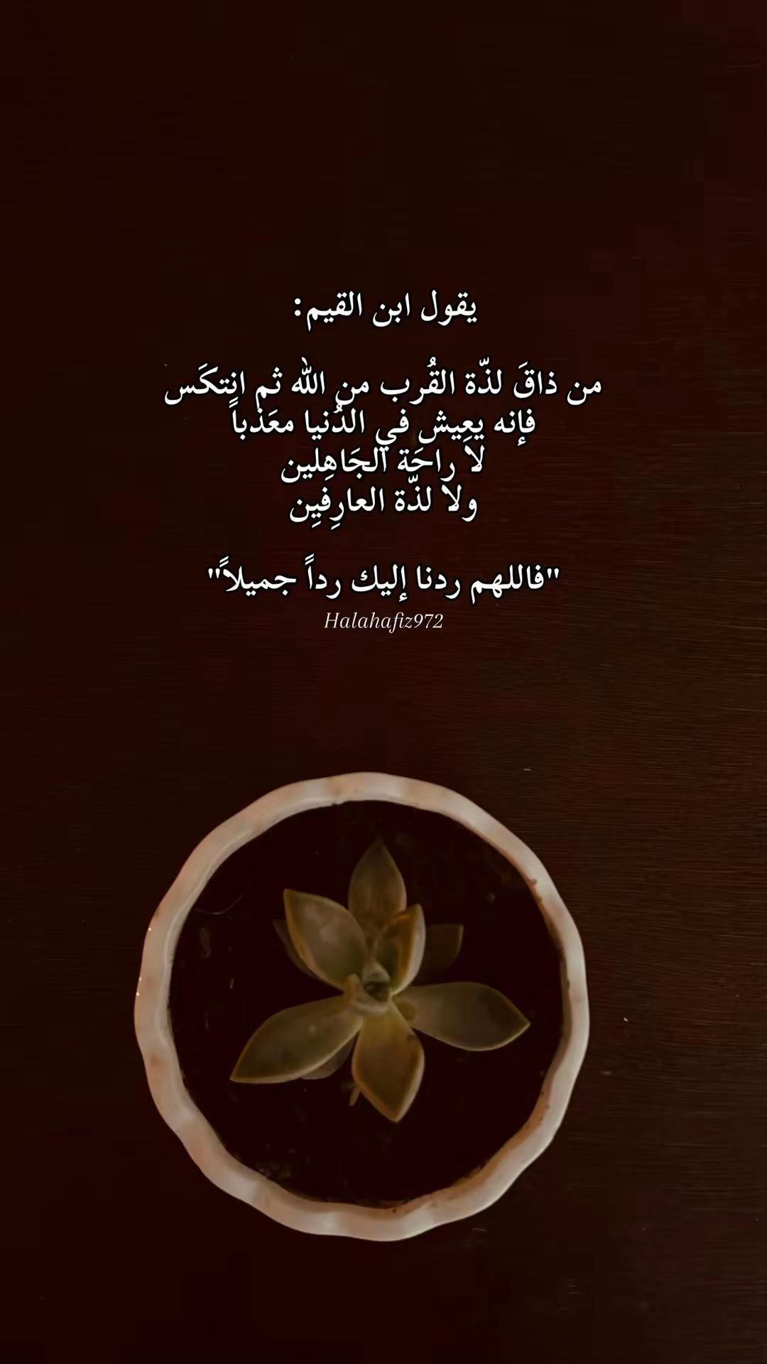 @﮼حلا 🎀