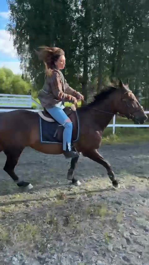 @vendelasophie