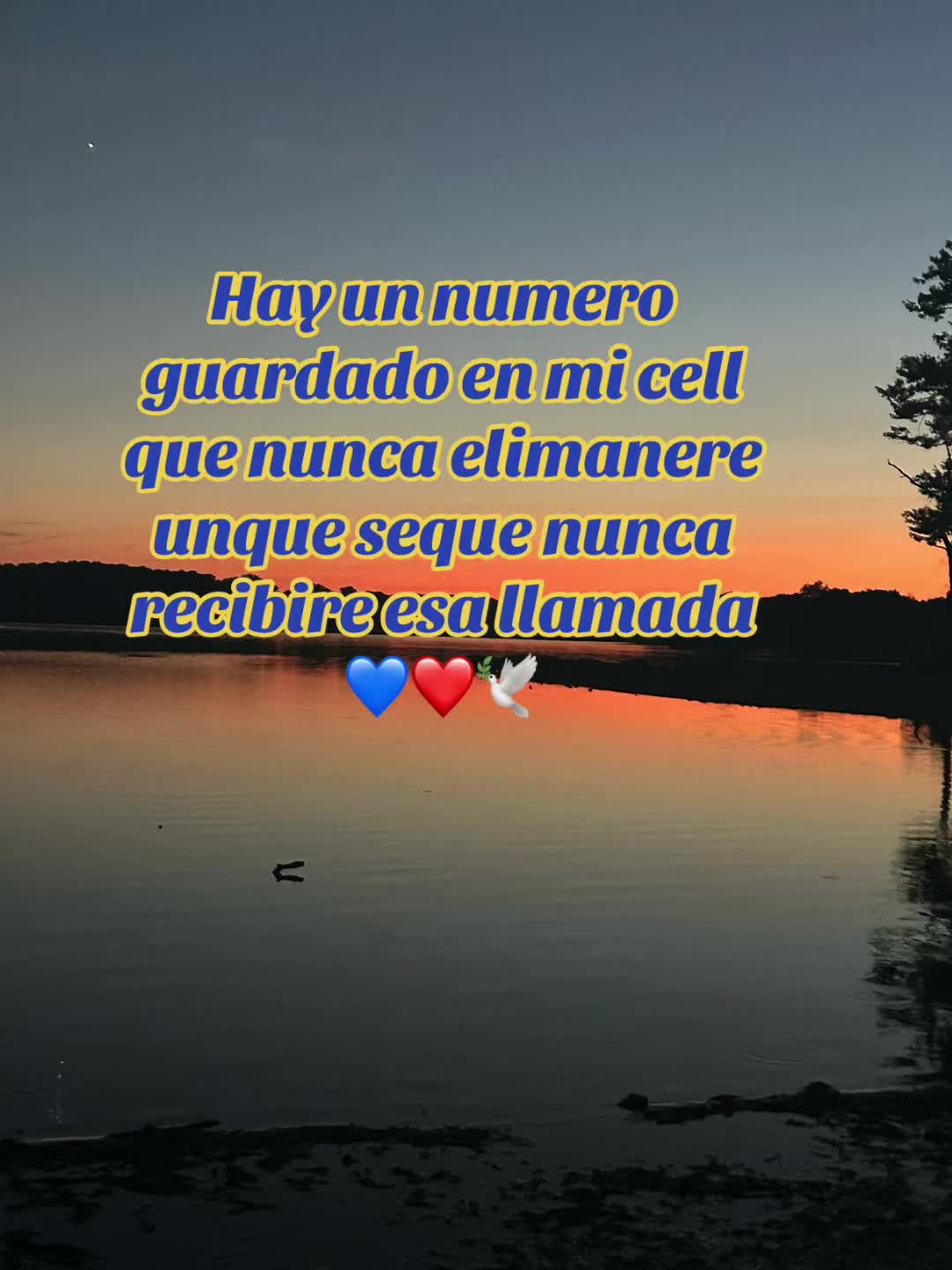 @Livinia❤️💙