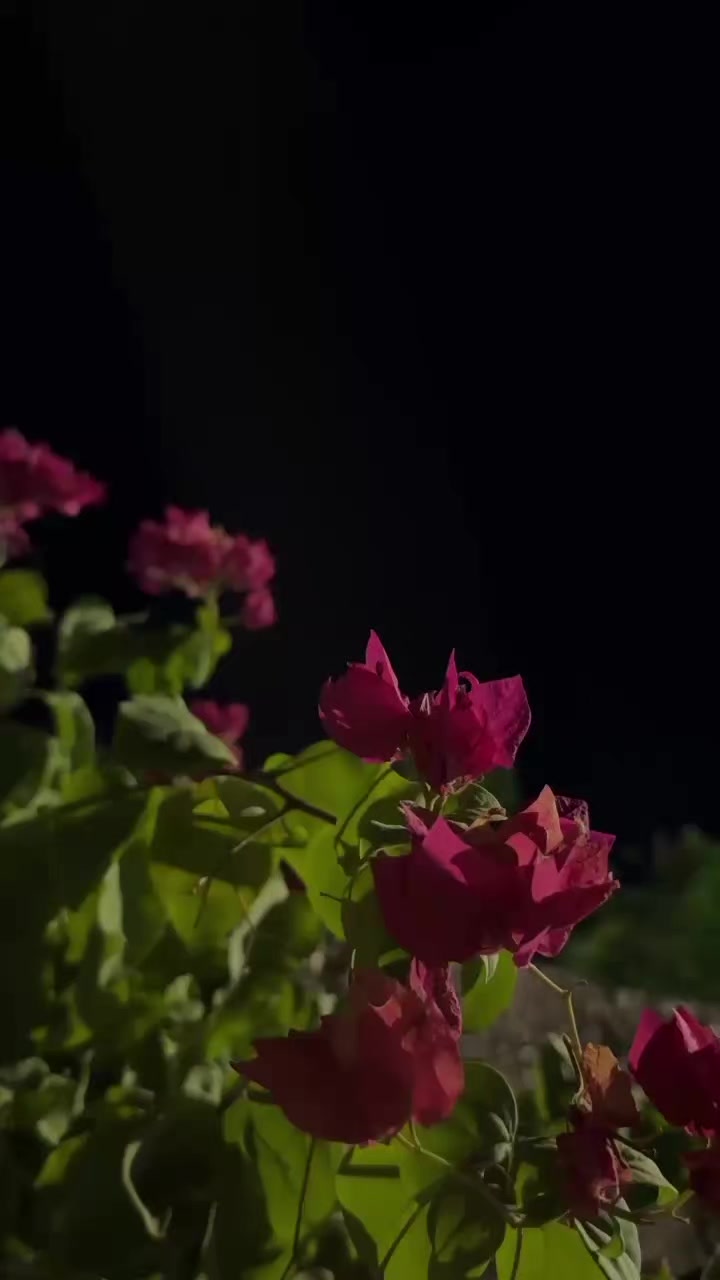 @𝓨𝓸𝓾𝓼𝓲𝓯  ོ ⠀