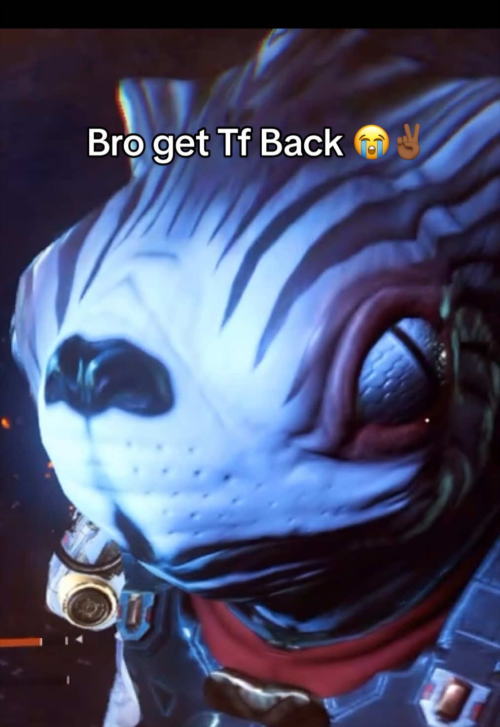 @koodawxrld