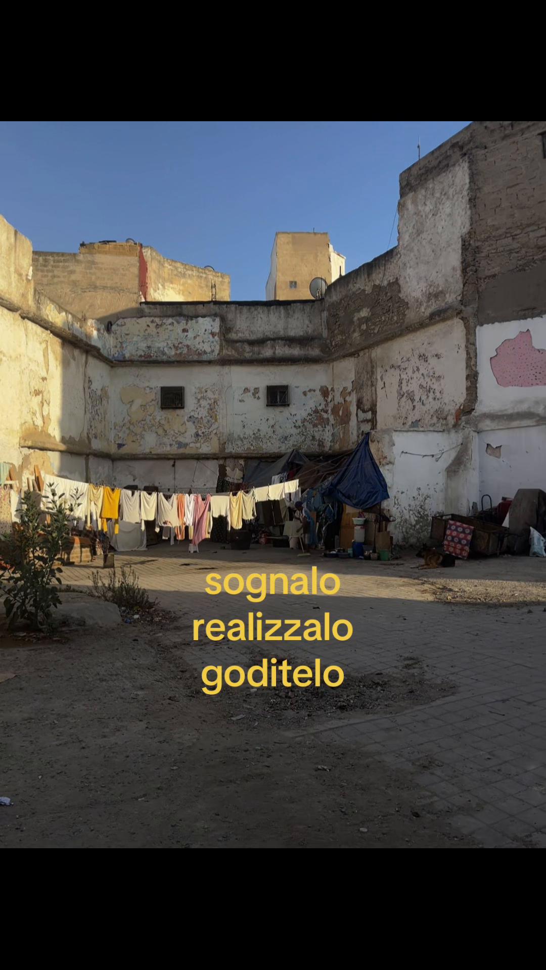 @sofia messina