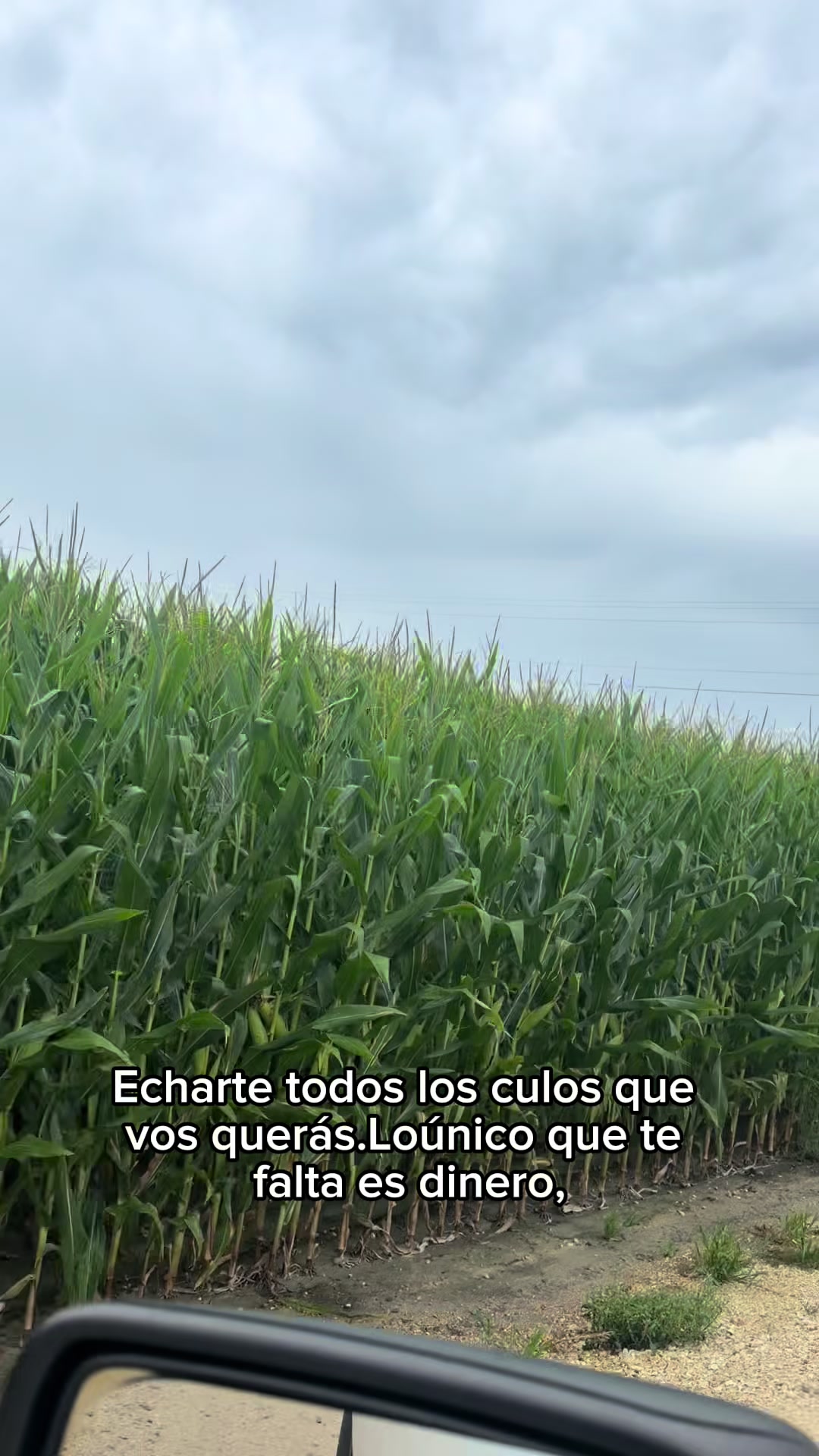 @Puacsito