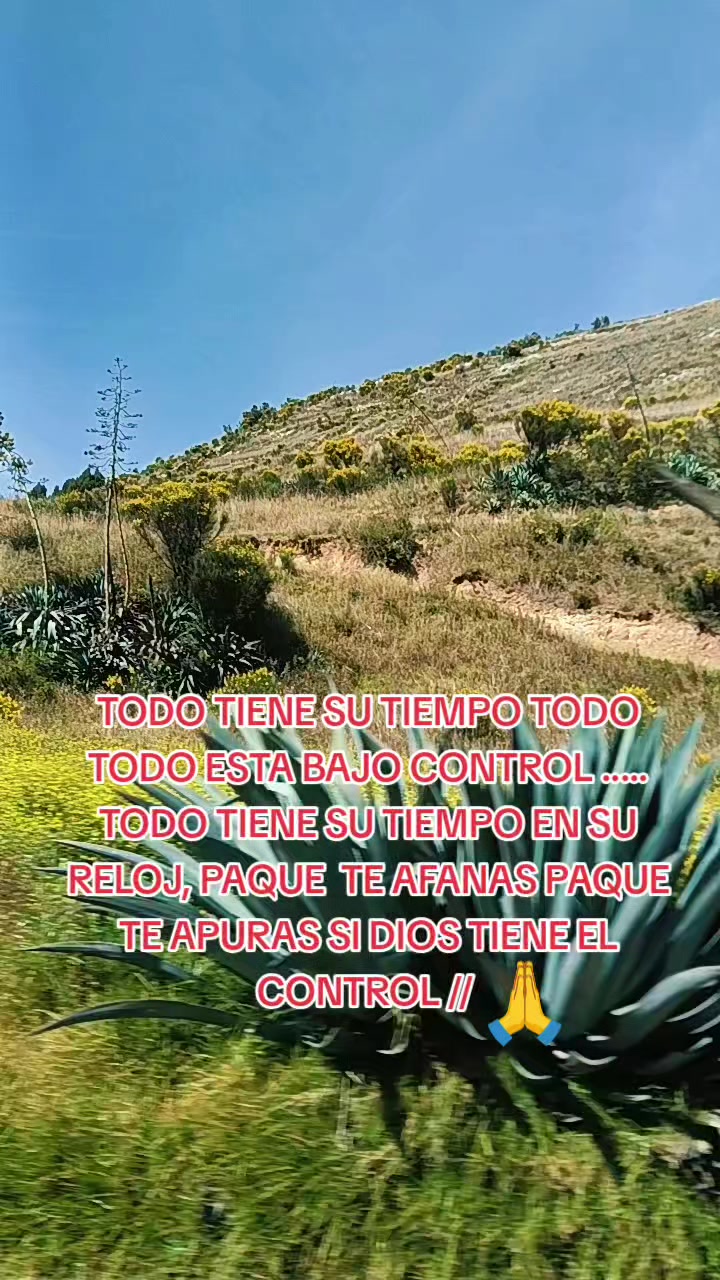 @LauMarleM🇵🇪💚