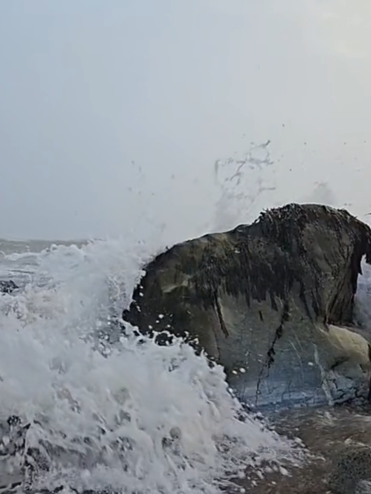 @🇨🇦 Ryan @506_photography